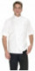 Alberto White Chefs Jacket