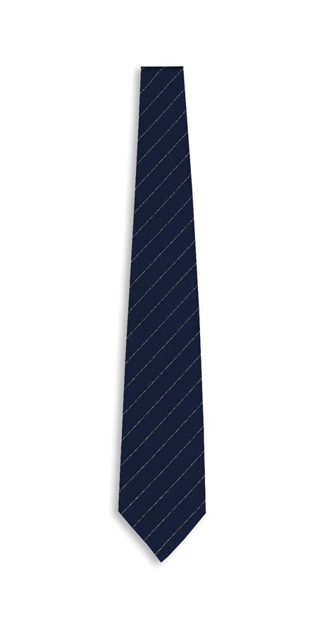 Cravatta Navy Blu Gessato