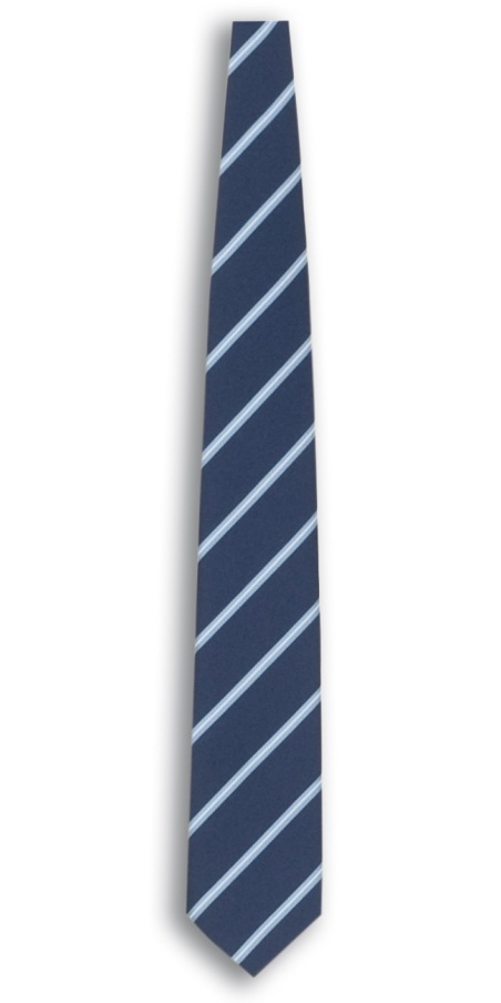 Cravatta Rigato Webster Blu