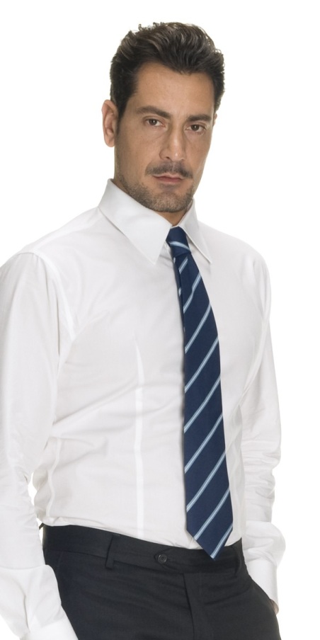 Cravatta Rigato Webster Blu