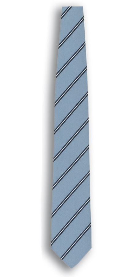 Webster Sky Blue Striped Tie