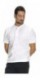 Men's White Polo Shirt - 6 Pieces