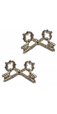 Key-Shaped Pin pair