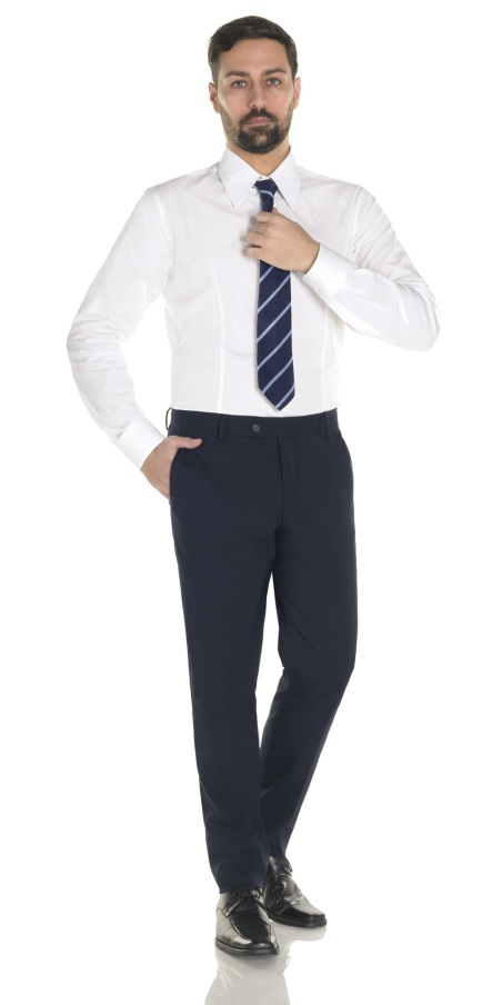 Ariel Artic Blue Trousers