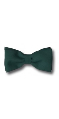 Green Bow Tie