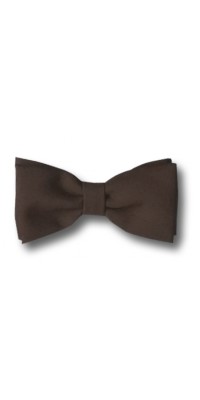 Brown Bow Tie