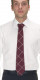 Ring Burgundy Tie