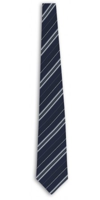 President Blue Striped Tie