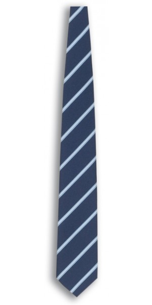 Webster Blue Striped Tie