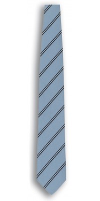 Webster Sky Blue Striped Tie