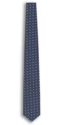 Blue Polka-Dot Tie