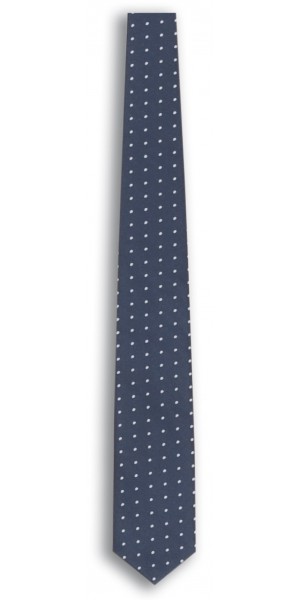 Blue Polka-Dot Tie